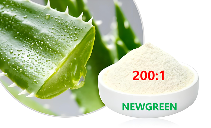 Neiegkeeten - 200:1 Aloe Vera gefriergedrchent Pulver: technologesch  Innovatioun a Potenzial fir villflteg Uwendungen zien d'Opmierksamkeet op  sech