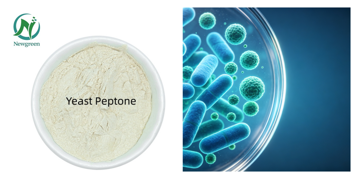 news-yeast-peptone (1)